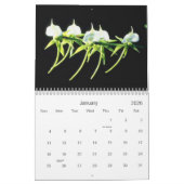 Orchids Calendar Kalender (Jan 2026)