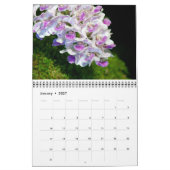 Orchids Calendar Kalender (Jan 2027)