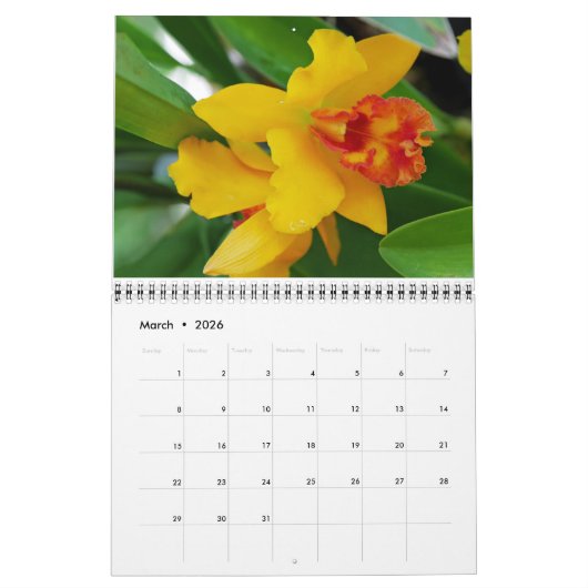 Orchids Calendar Kalender (Mar 2026)