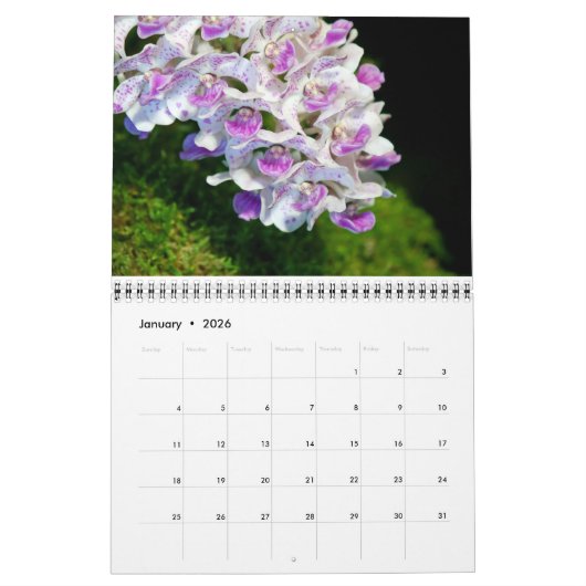Orchids Calendar Kalender (Jan 2026)