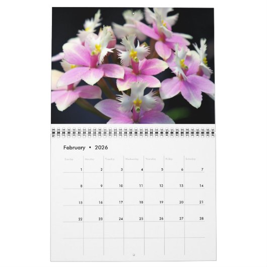 Orchids Calendar Kalender (Feb 2026)