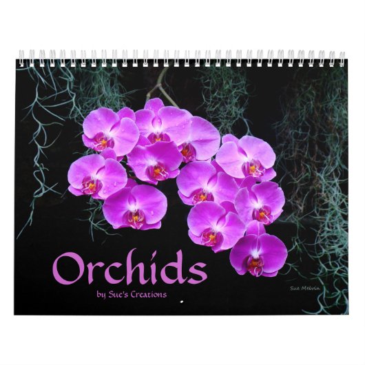 Orchids Calendar Kalender (Hoes)