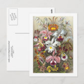 Orchids Ernst Haeckel Fine Art Briefkaart (Voorkant / Achterkant)