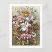 Orchids Ernst Haeckel Fine Art Briefkaart (Voorkant)