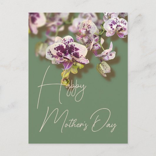 Orchids Floral Happy Moederdag Feestdagenkaart (Voorkant)
