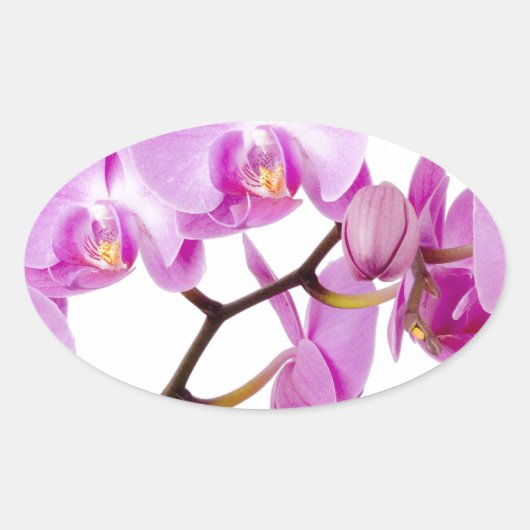 orchids-flowers.jpg ovale sticker (Voorkant)