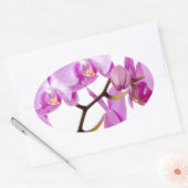 orchids-flowers.jpg ovale sticker (Envelop)