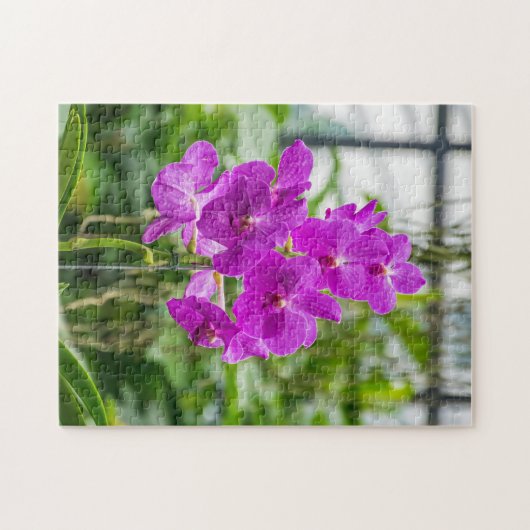 Orchids-fotopuzzel Legpuzzel (Horizontaal)