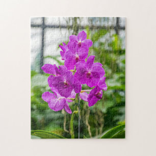 Orchids-fotopuzzel Legpuzzel