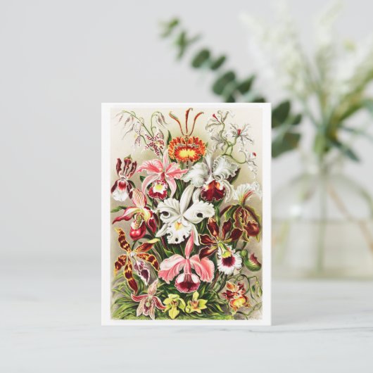  Orchids Illustratie Briefkaart (Staand voorkant)