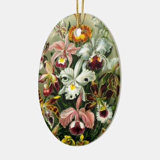  Orchids Illustratie Keramisch Ornament (Links)