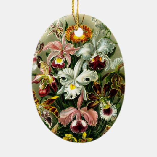  Orchids Illustratie Keramisch Ornament (Achterkant)