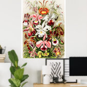  Orchids Illustratie Poster (Thuiskantoor)