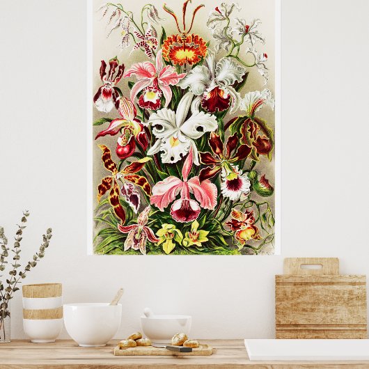  Orchids Illustratie Poster (Keuken)
