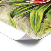  Orchids Illustratie Poster (Hoek)