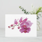 Orchids Indure Wedding Packets Kits (Staand voorkant)