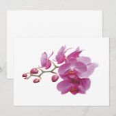 Orchids Indure Wedding Packets Kits (Voorkant / Achterkant)