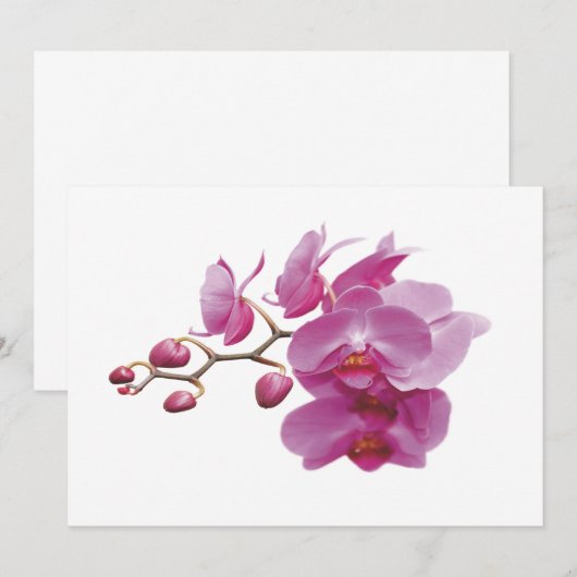 Orchids Indure Wedding Packets Kits (Voorkant / Achterkant)