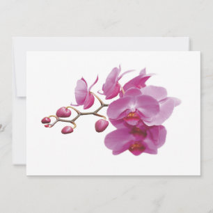 Orchids Indure Wedding Packets Kits