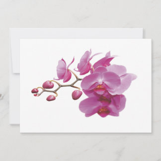 Orchids Indure Wedding Packets Kits