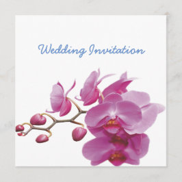 Orchids Indure Wedding Packets Kits Kaart