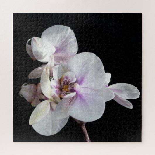 Orchids Jigzaag Puzzle Legpuzzel (Horizontaal)