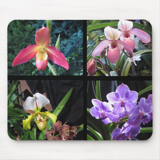 Orchids Mousepad Muismat (Voorkant)