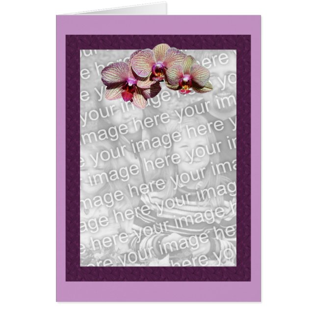 Orchids Paars Floral-fotokaart (Voorkant)