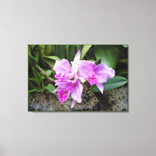 Orchids Portrait Canvas Afdruk