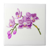 Orchids tegeltje (Voorkant)