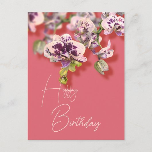 Orchids Tropical Floral Happy Birthday Briefkaart (Voorkant)