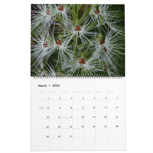 Orchids Wall Agenda Kalender (Mar 2026)