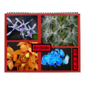 Orchids Wall Agenda Kalender (Hoes)