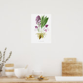 Orchis purpurea poster (Keuken)