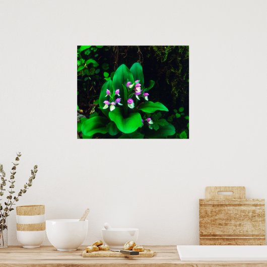 Orchis Wildbloemen Poster (Keuken)