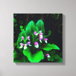 Orchis Wilde Bloemen Canvas Afdruk
