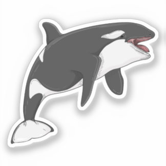 Orcinus Orca vectorillustratie Sticker