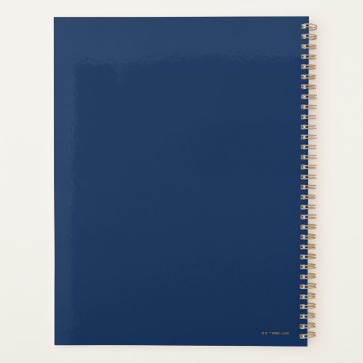 ORDE VAN DE PHOENIX Secret Society Graphic Planner (Achterkant)