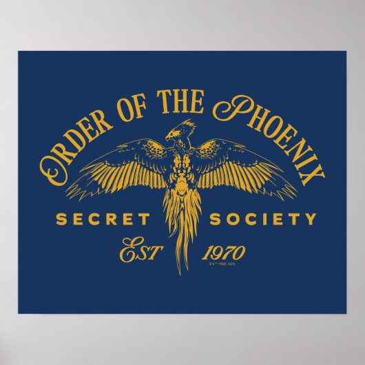 ORDE VAN DE PHOENIX Secret Society Graphic Poster (Voorkant)