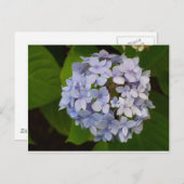 Ordensie Briefkaart (Voorkant / Achterkant)