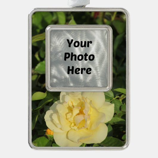 Oregold Yellow Rose Verzilverd Omlijst Ornament (Voorkant)
