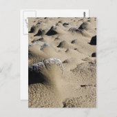 Oregon Beach Briefkaart (Voorkant / Achterkant)