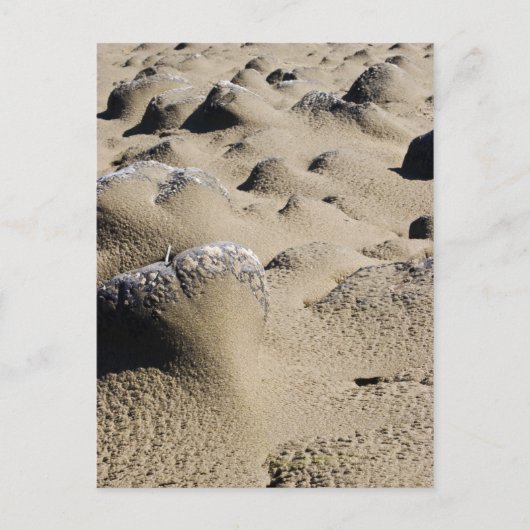 Oregon Beach Briefkaart (Voorkant)