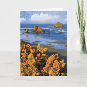 Oregon Beach Uitzicht in Bandon Kaart