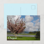 Oregon Briefkaart (Voorkant / Achterkant)