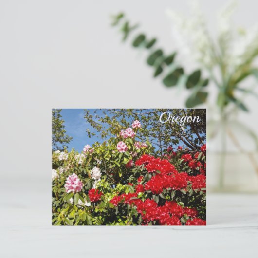 Oregon Briefkaart (Staand voorkant)