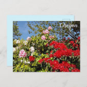 Oregon Briefkaart (Voorkant / Achterkant)