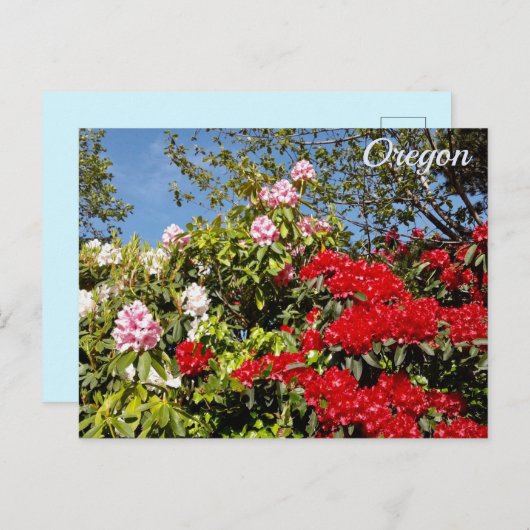 Oregon Briefkaart (Voorkant / Achterkant)