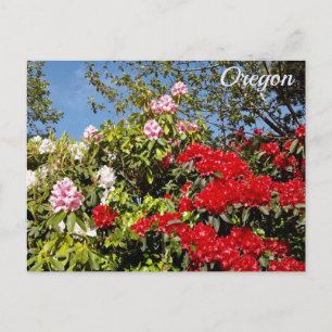 Oregon Briefkaart
