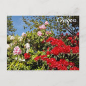 Oregon Briefkaart (Voorkant)